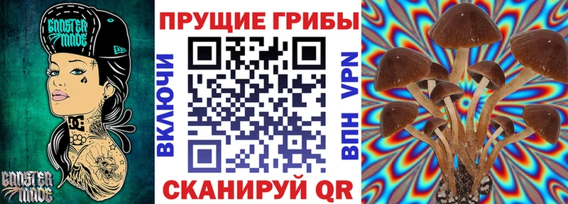где найти наркотики  Лобня  blacksprut вход  shop наркотические препараты  Псилоцибиновые грибы Cubensis 