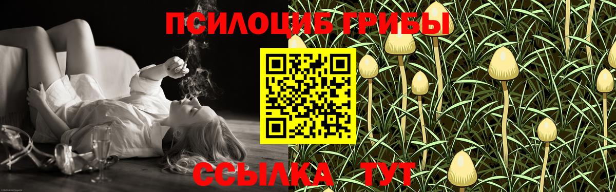 Галлюциногенные грибы ЛСД Лобня
